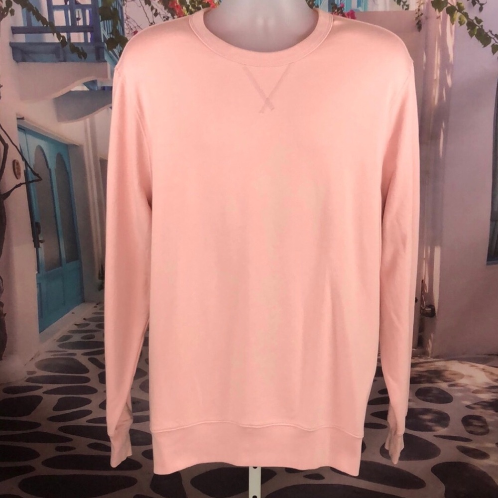 J. Crew Light Pink Sweatshirt